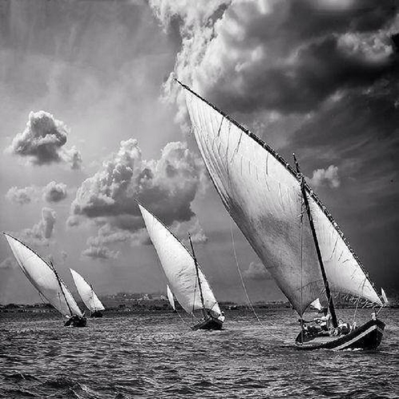 sail boats