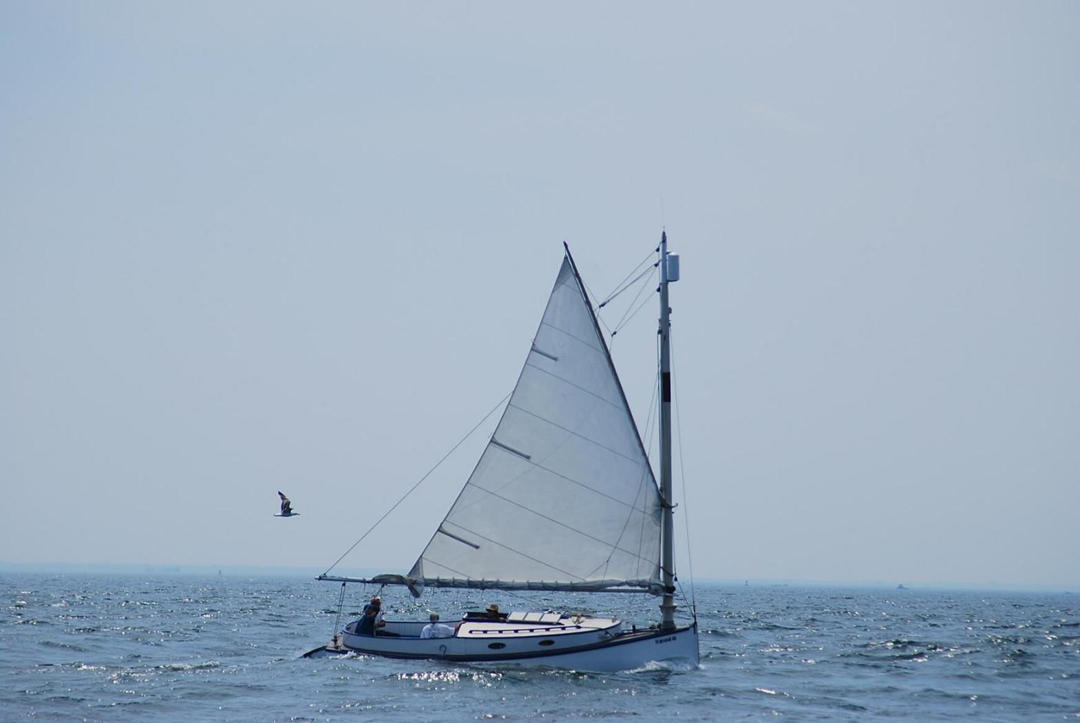 new york sailing 1