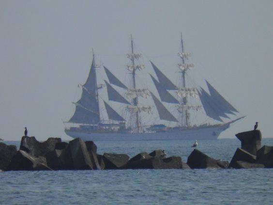 tall-ship-sailing